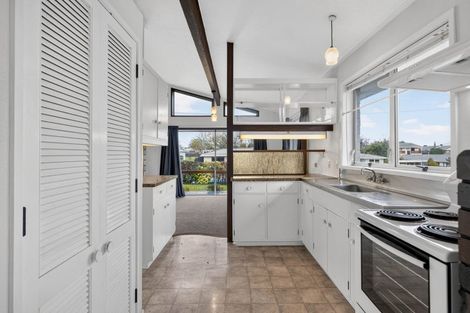Photo of property in 19 Williams Avenue, Morrinsville, 3300