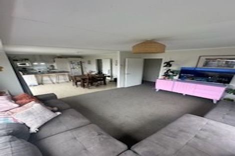 Photo of property in 911a Lyell Street, Akina, Hastings, 4122