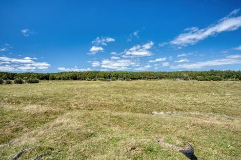 Photo of property in 402 Kumara Junction Highway, Arahura Valley, Hokitika, 7882