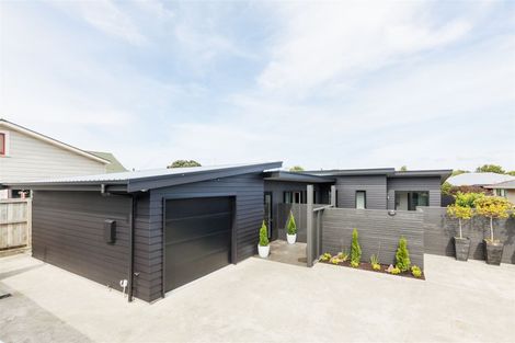 Photo of property in 172a Ferguson Street, West End, Palmerston North, 4412