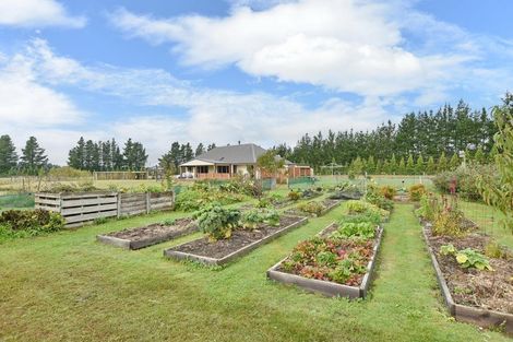 Photo of property in 4 Pesters Road, Eyrewell, Rangiora, 7476