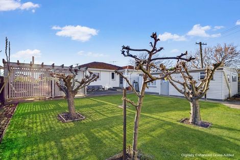 Photo of property in 3 Frome Street, Oamaru North, Oamaru, 9400
