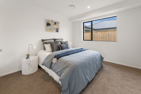 Photo of property in 55 Oakdale Grove, Richmond, 7020