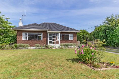 Photo of property in 37 Bowen Street, Levin, 5510