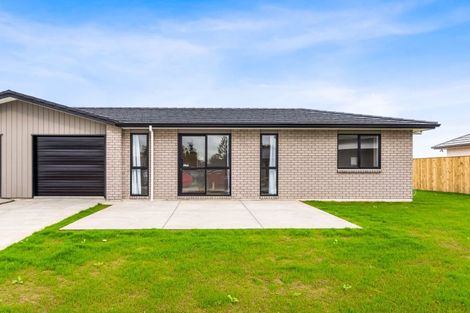 Photo of property in 115 Hinemoa Street, Levin, 5510