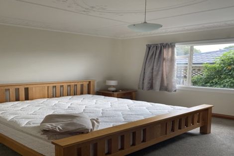 Photo of property in 17c Huatoki Street, Vogeltown, New Plymouth, 4310