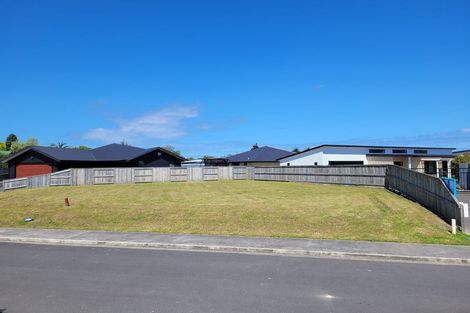 Photo of property in 8 Kingi Te Ahoaho Place, Otaki, 5512