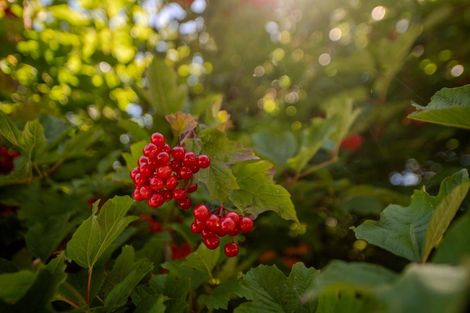 Photo of property in Wratten Road, Owaka, 9585