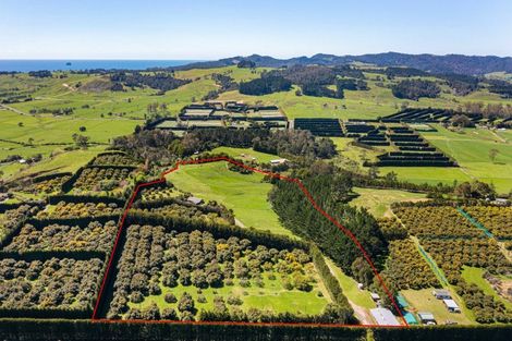 Photo of property in 67d Purangi Road, Purangi, Whitianga, 3591
