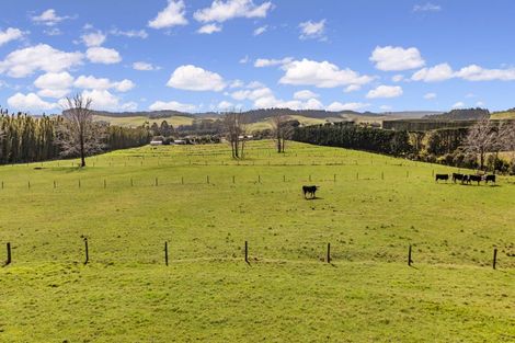 Photo of property in 403 Kapiro Road, Kerikeri, 0294