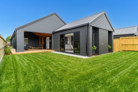 Photo of property in 42 Briarley Street, Tauranga South, Tauranga, 3112