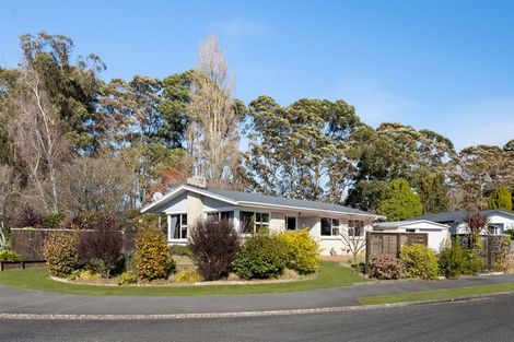 Photo of property in 21 Fitzroy Avenue, Fitzroy, Hamilton, 3206