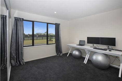 Photo of property in 43 Mchughs Road, Swannanoa, Kaiapoi, 7692