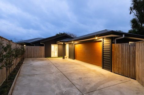 Photo of property in 68b Manson Street, Terrace End, Palmerston North, 4410