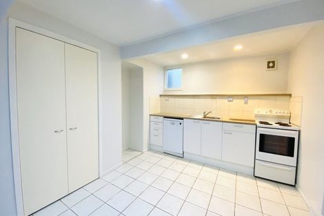 Photo of property in 26 Buchanan Street, Kingsland, Auckland, 1021