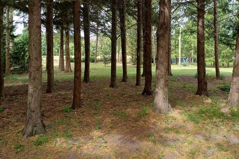 Photo of property in 12 Railway Street, Fairlie, 7925