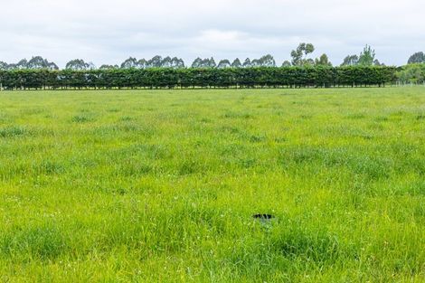 Photo of property in 242 Foley Road, Kerrytown, Timaru, 7975