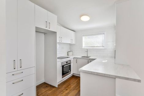 Photo of property in 93 Williamson Avenue, Grey Lynn, Auckland, 1021