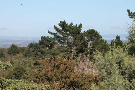 Photo of property in 879 Ponga Road, Opaheke, Papakura, 2584