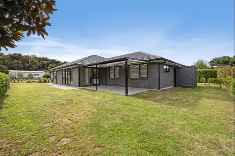 Photo of property in 13 Park Avenue, Mangawhai Heads, Mangawhai, 0505