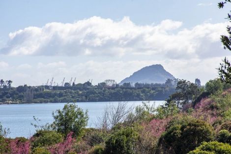 Photo of property in 37a Dingadee Street, Welcome Bay, Tauranga, 3112