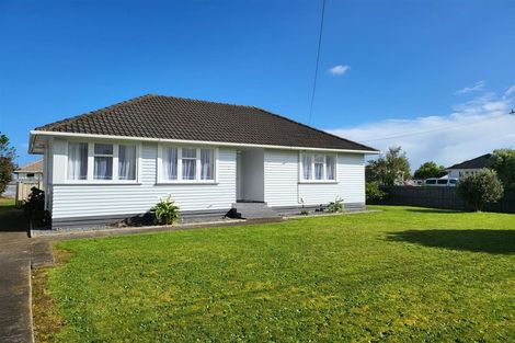 Photo of property in 17 Maire Street, Levin, 5510