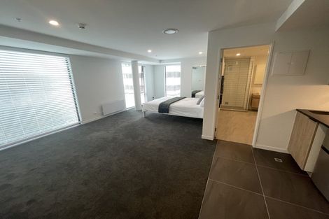 Photo of property in Pinnacle Apartments, W303/160 Victoria Street, Te Aro, Wellington, 6011