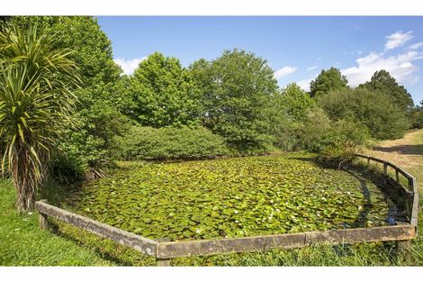 Photo of property in 48 Pond Road, Raglan, 3295