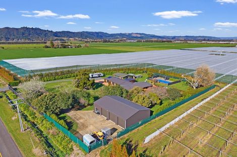 Photo of property in 89 Mccracken Road, Edgecumbe, Whakatane, 3192