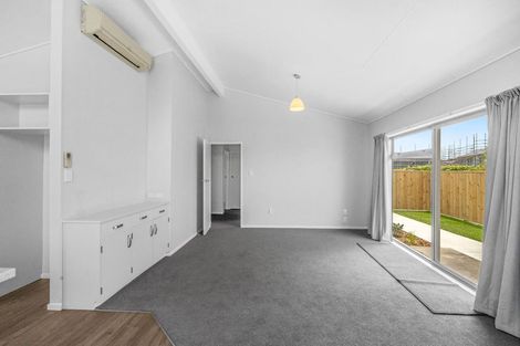 Photo of property in 65a Winchester Street, Levin, 5510