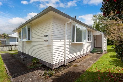 Photo of property in 24 Station Street, Tirau, 3410