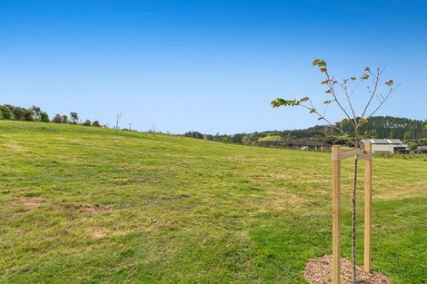 Photo of property in 346 Inland Road, Helensville, 0875