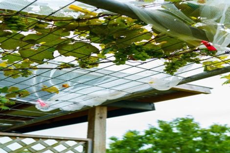 Photo of property in 2352 River Road, Horsham Downs, Hamilton, 3281