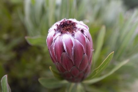 Photo of property in 1083 Kahikatea Flat Road, Waitoki, Kaukapakapa, 0871