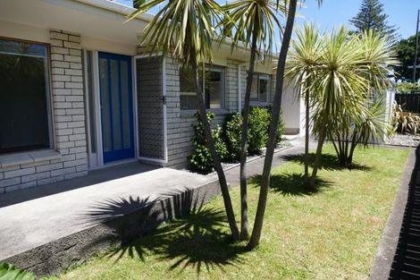 Photo of property in 2/388 Devonport Road, Tauranga South, Tauranga, 3112