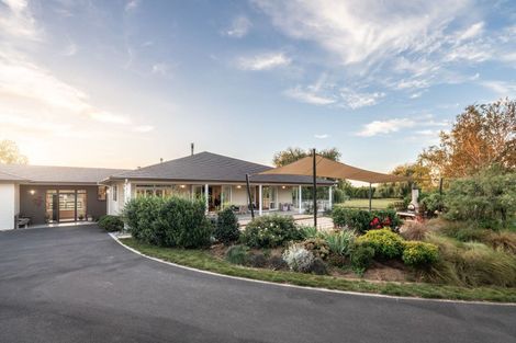 Photo of property in 81 Racecourse Road, Cambridge, 3493