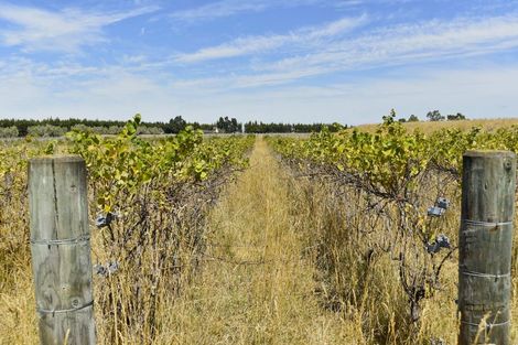 Photo of property in 244d Georges Road, Glasnevin, 7482