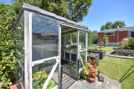 Photo of property in 23 Vulcan Road, Waldronville, Dunedin, 9018