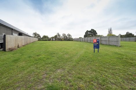 Photo of property in 11 Redhaven Rise, Netherby, Ashburton, 7700
