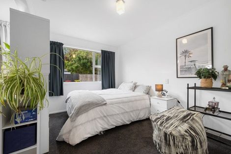 Photo of property in 9b Oudenarde Street, Renwick, 7204