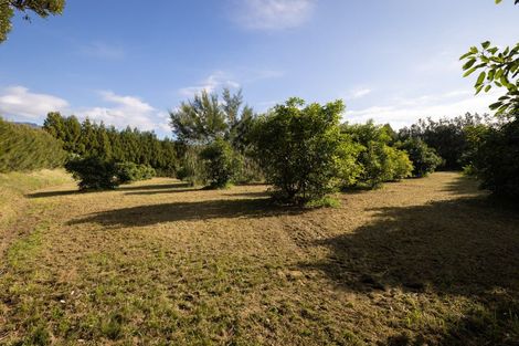 Photo of property in 55 Pine Ridge Lane, Aongatete, Katikati, 3181