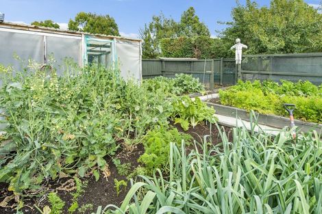 Photo of property in 279 Cones Road, Loburn, Rangiora, 7472