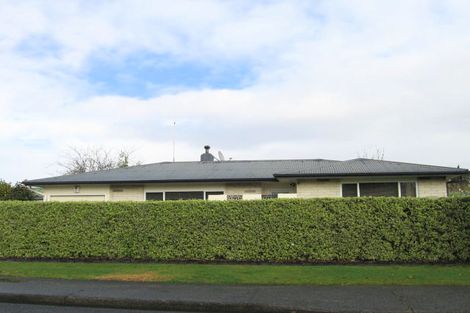 Photo of property in 575 Lowe Street, Camberley, Hastings, 4120