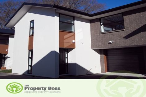 Photo of property in 8 Shingle Street, Sydenham, Christchurch, 8023
