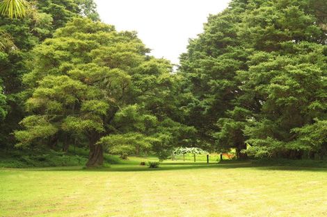 Photo of property in 130 Gibbons Road, Kaiwaka, 0573