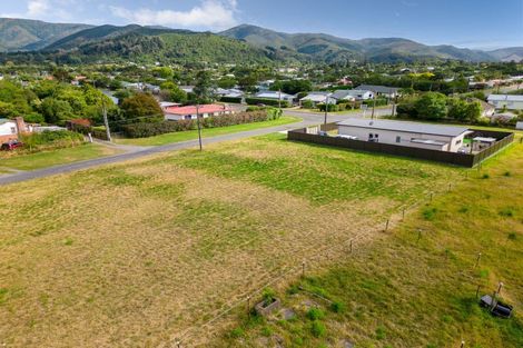 Photo of property in 45 Lyon Street, Featherston, 5710