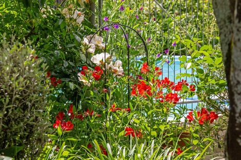 Photo of property in 341 Manaia Road, Homebush, Masterton, 5885