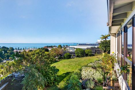 Photo of property in 9 Harvey Road, Bluff Hill, Napier, 4110