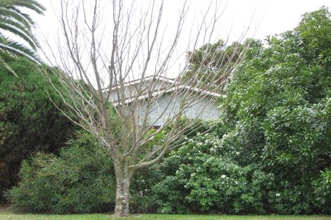 Photo of property in 21 Allens Lane, Clive, 4102