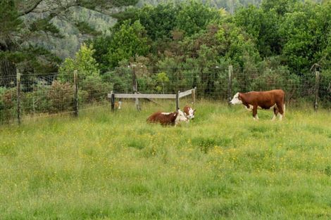 Photo of property in 11 Sarona Park Drive, Omanawa, Tauranga, 3171